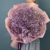 15 фиолетовых гипсофил